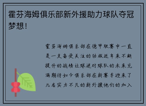 霍芬海姆俱乐部新外援助力球队夺冠梦想！